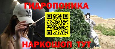 стаф Гусь-Хрустальный